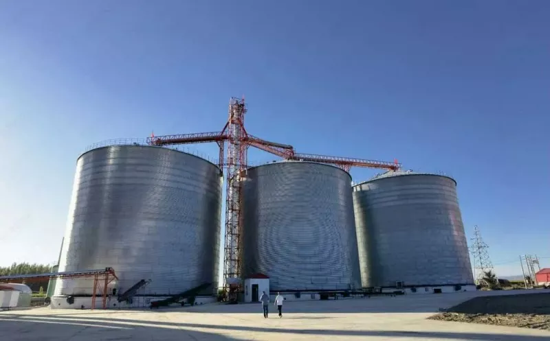 Fa'amea u'amea Saito Silo